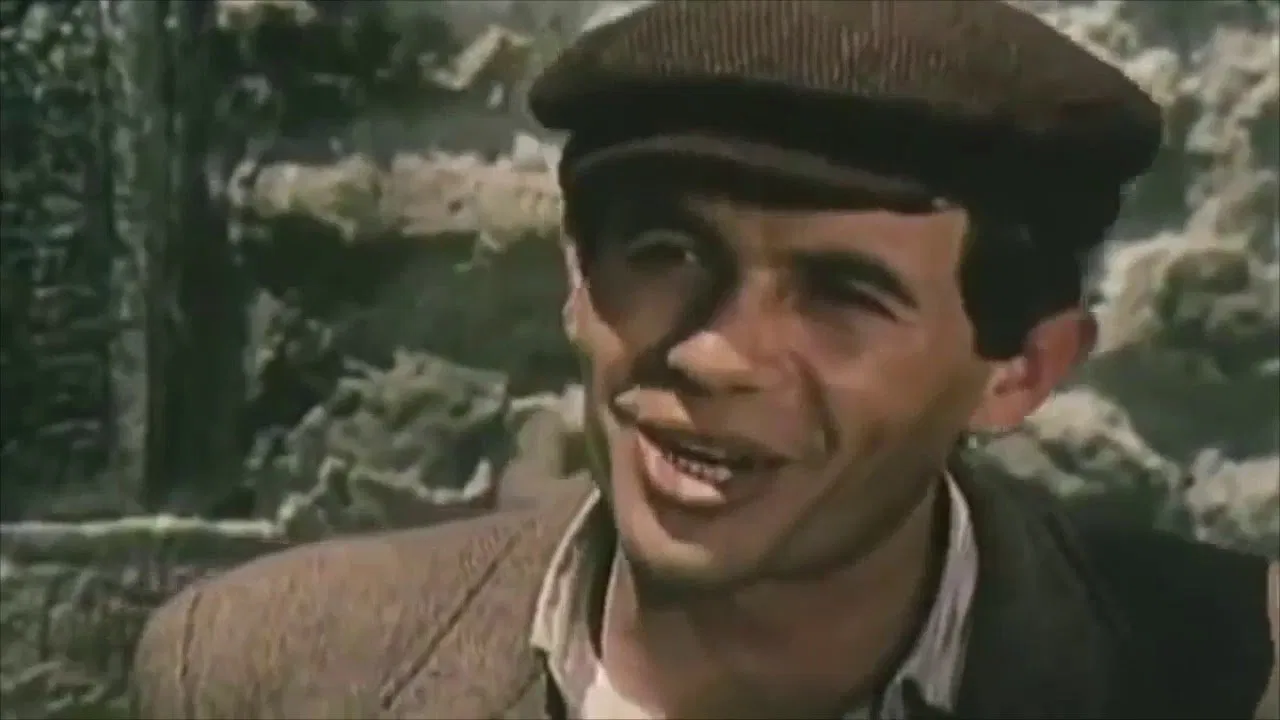 The New Shelter backdrop