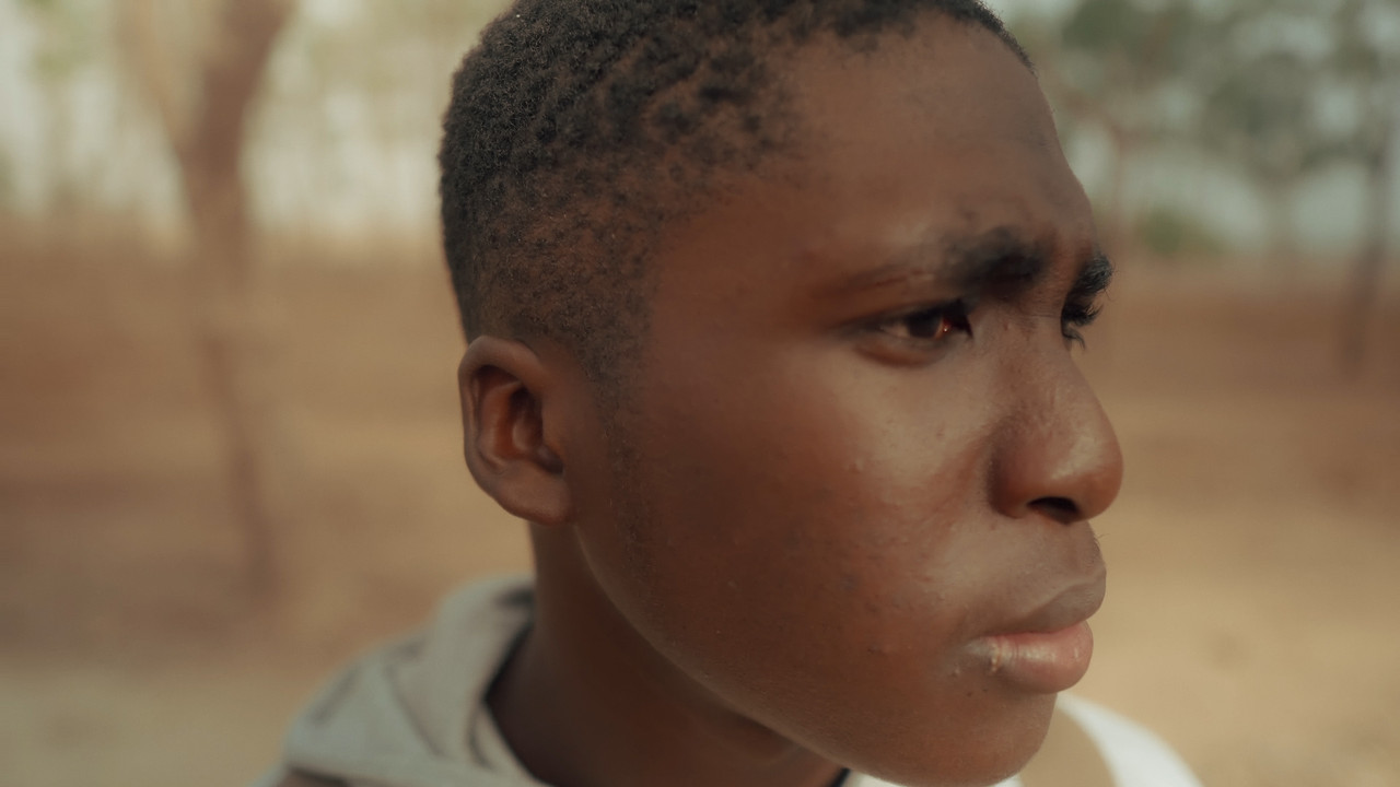 Guest Of The Woods backdrop