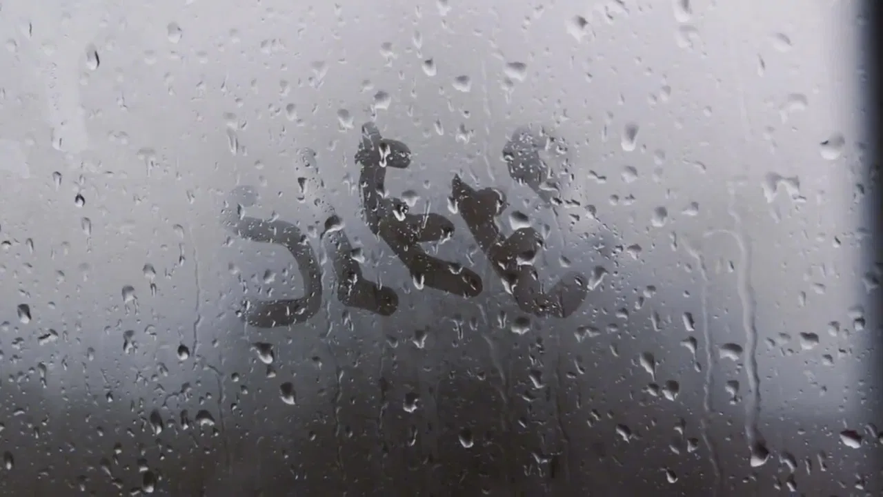 My Year Of Rest And Relaxation backdrop