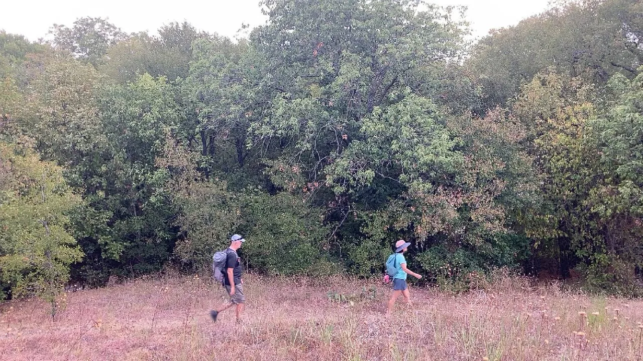 Testimonies of a New Frontier backdrop