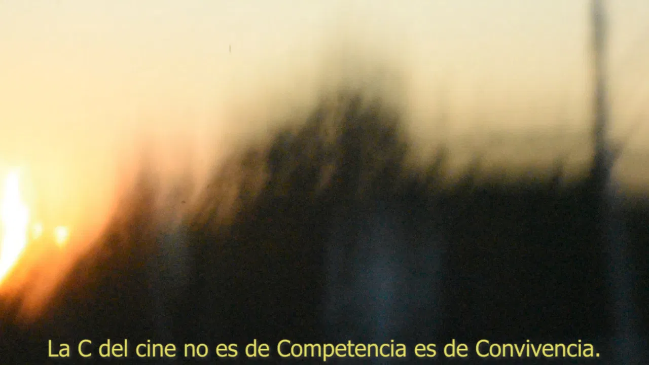 El retratar la vida de Mekas y el retratarse en la vida de Varda backdrop