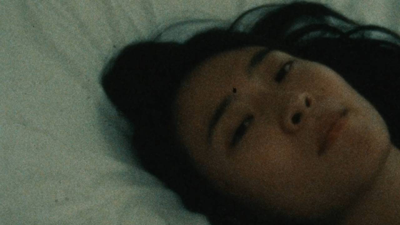 Glistening Seagull backdrop