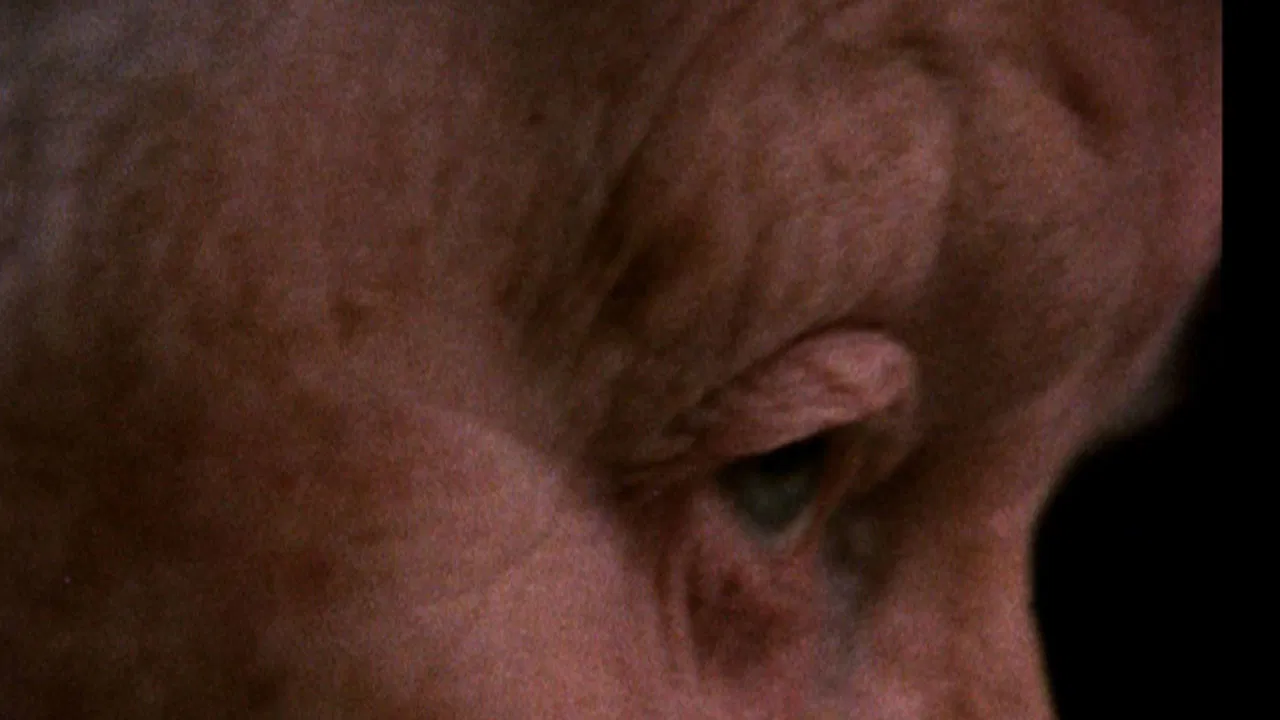 Amindas verden backdrop