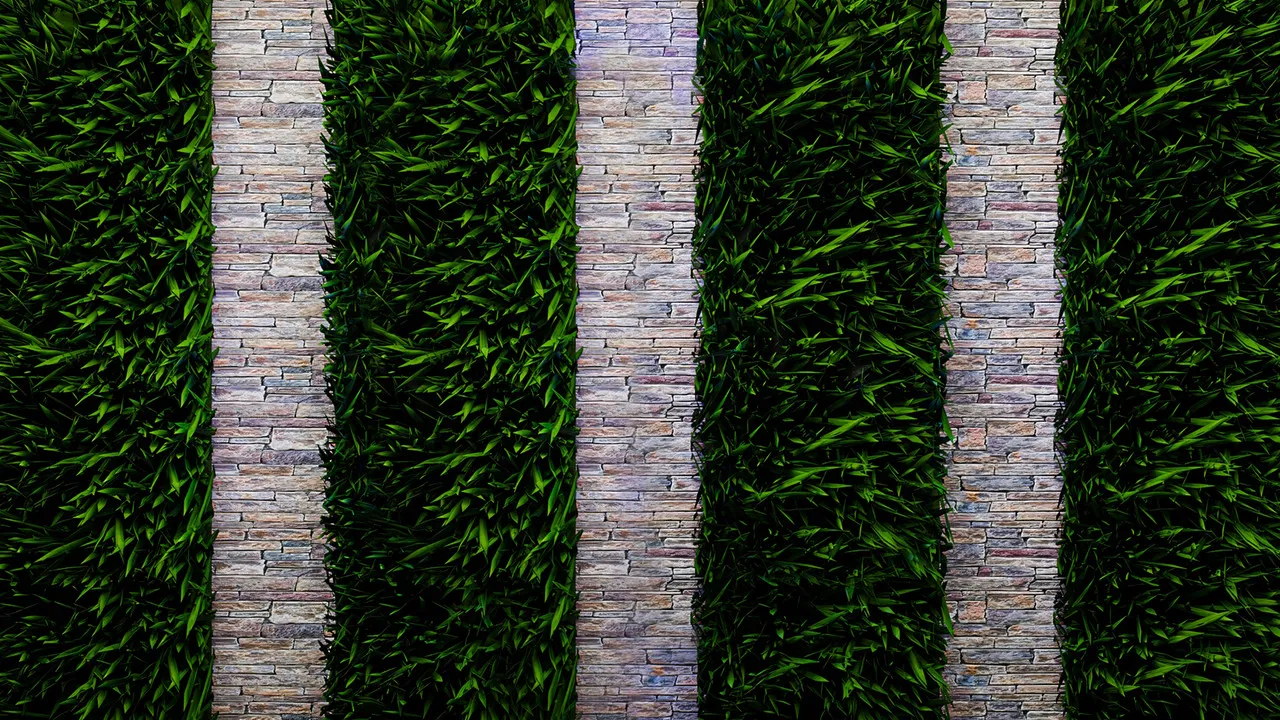 The Elle Duncan Show backdrop