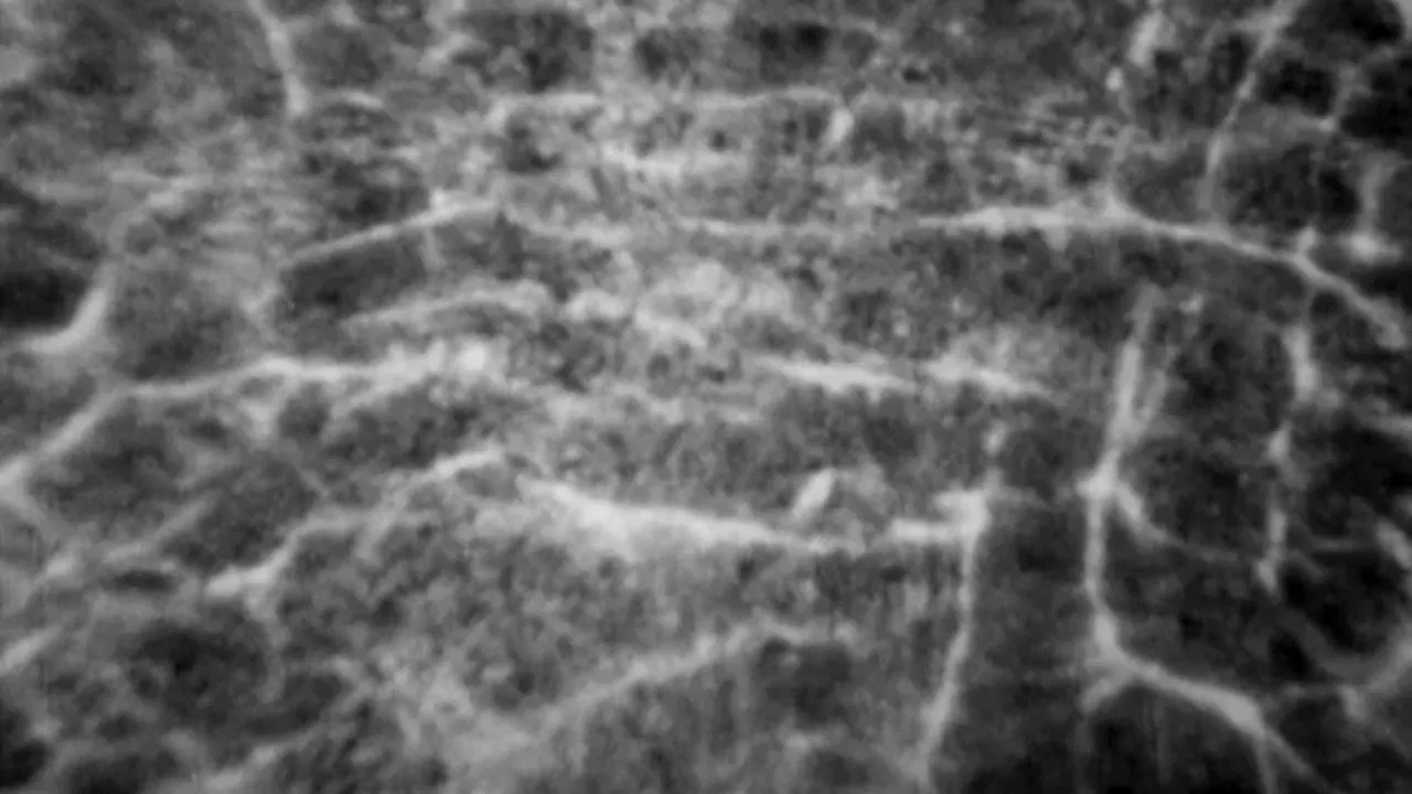 Portrait of a Young Man in Three Movements backdrop