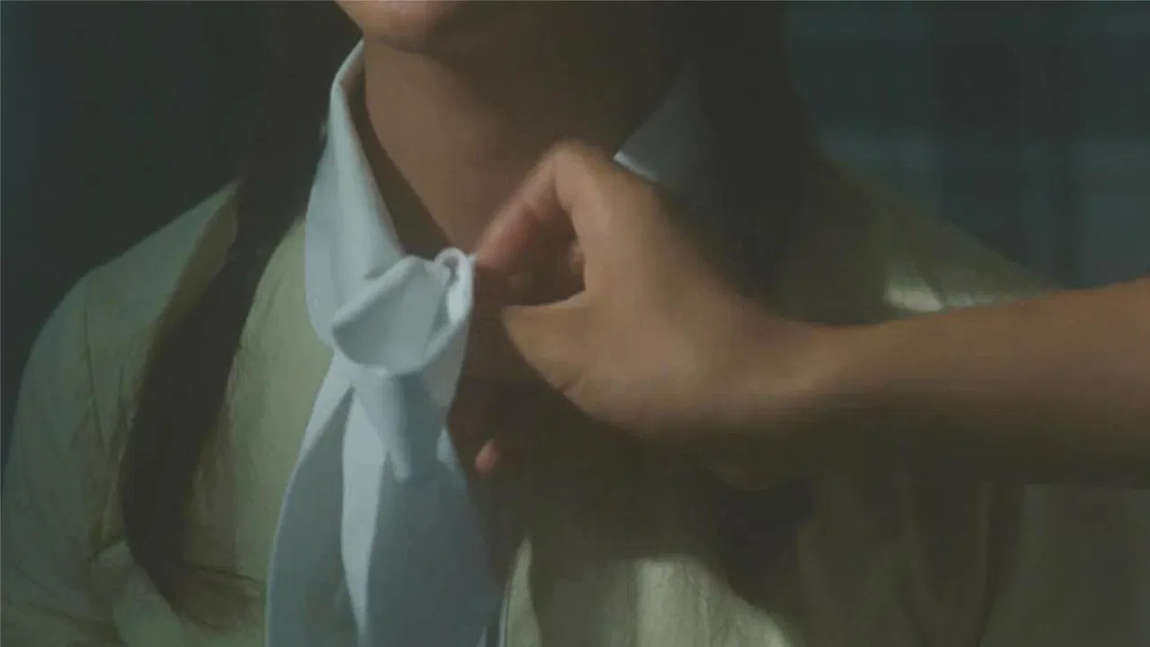 The Story of David backdrop