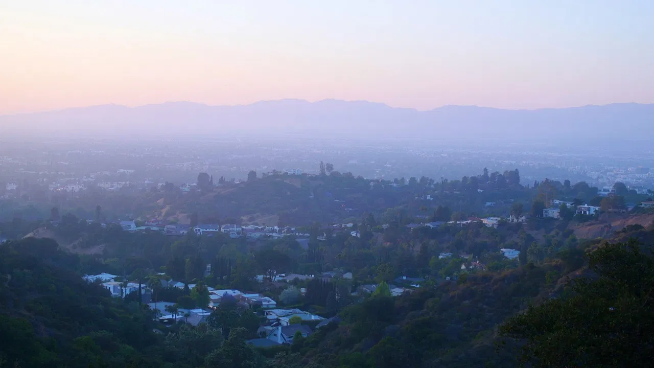 California Schemin' backdrop