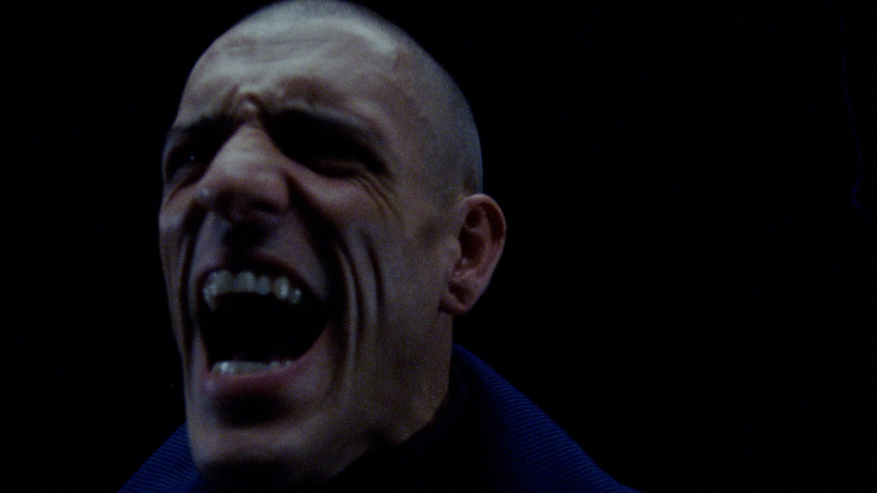 They Send Word backdrop