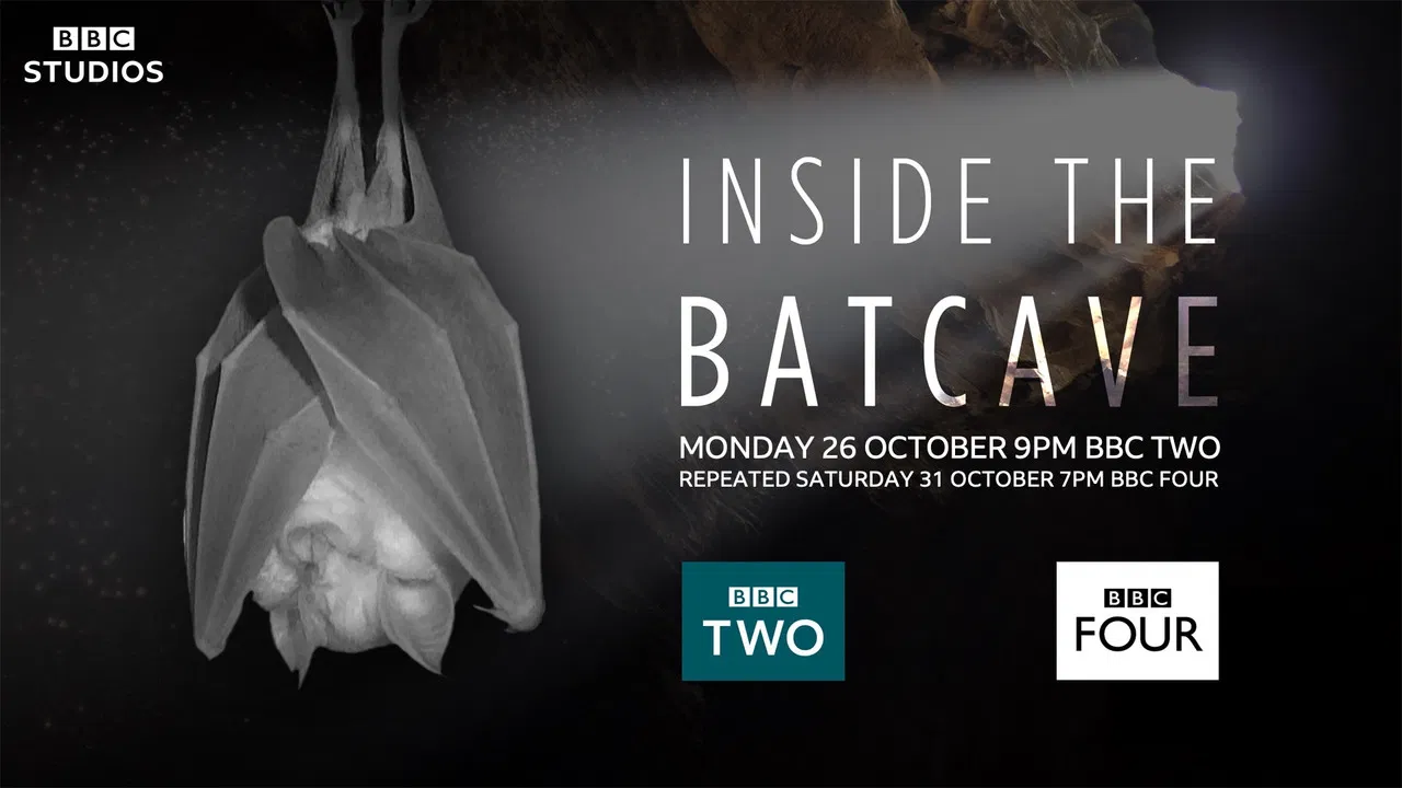 Inside the Bat Cave backdrop