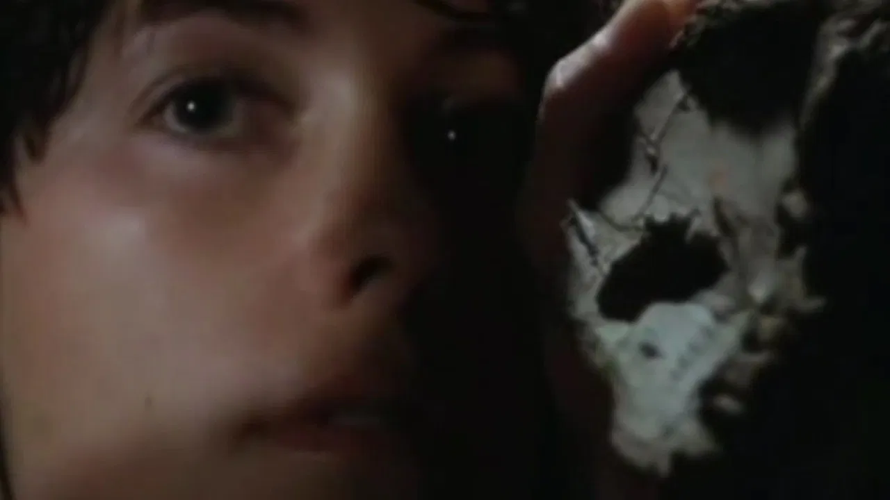 Force of the Senses backdrop