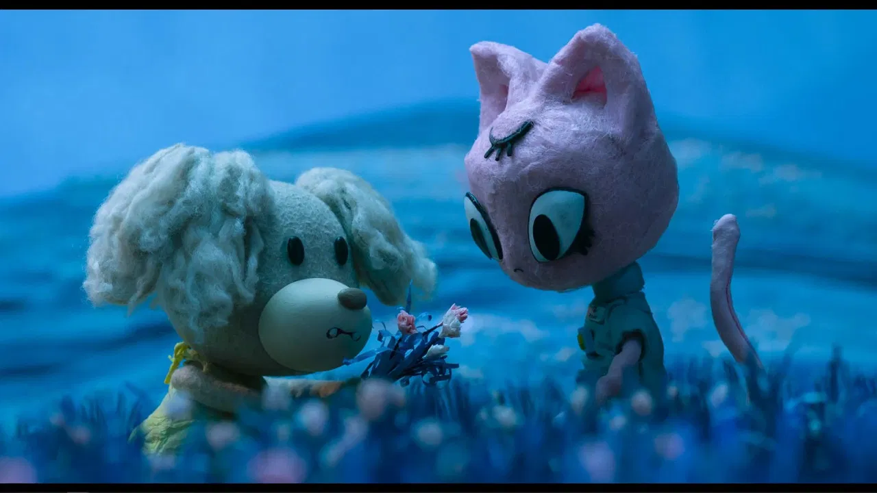 Meow or Never backdrop