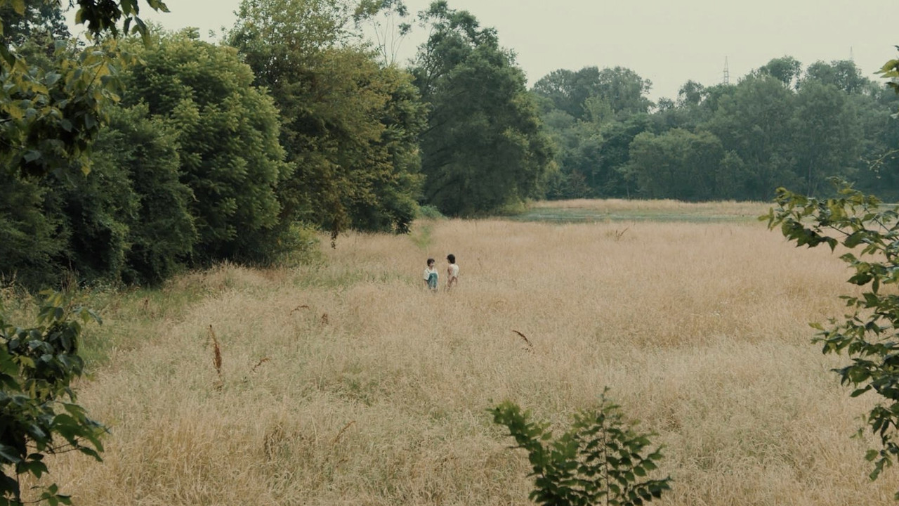 oh peace... backdrop