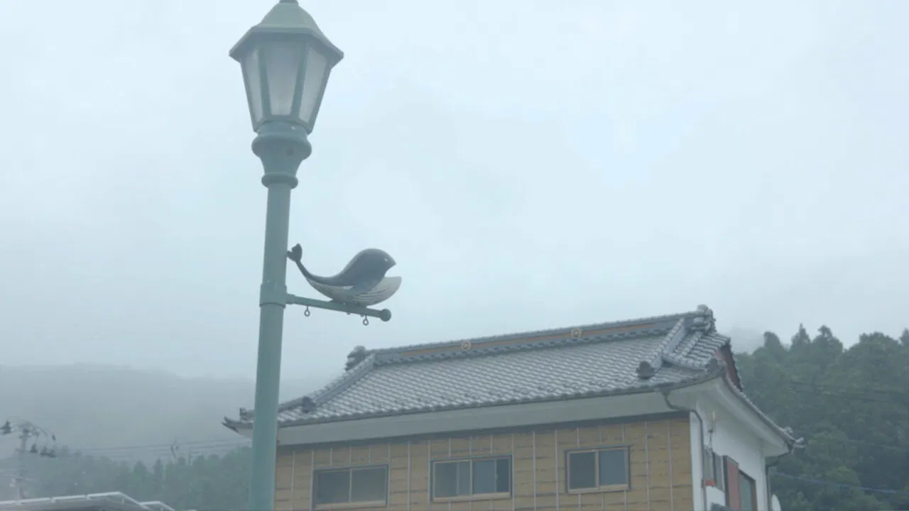 Ayukawa: The Weight of a Life backdrop