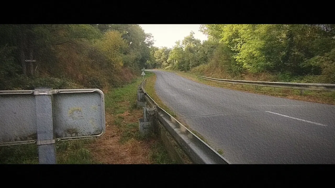 Wandering: The Art of Noticing backdrop