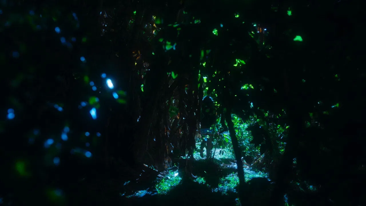 Lo Chan Lo Bassin backdrop