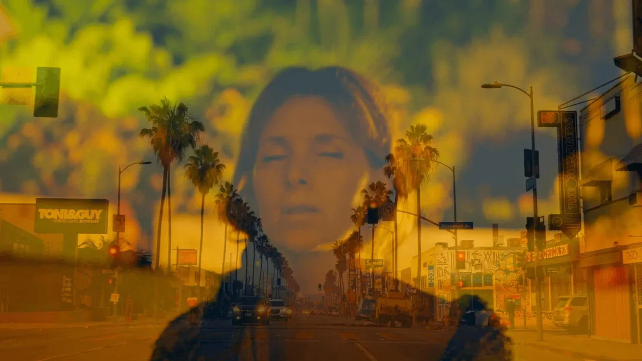 Traveling Light backdrop