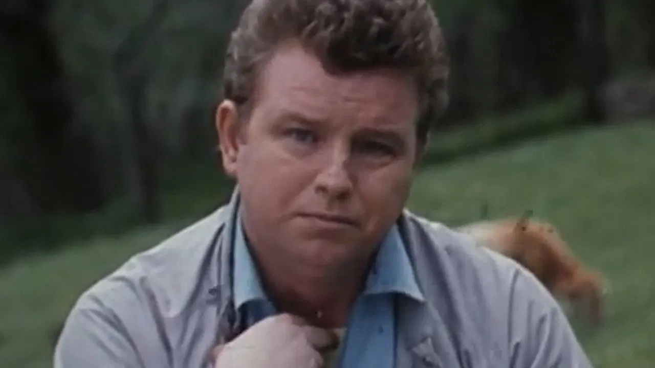 Memories of the "Cow March" backdrop