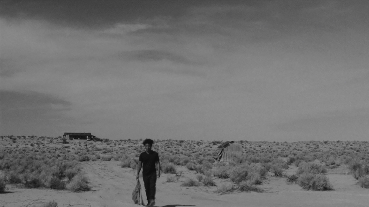 Moodswing Whiskey backdrop