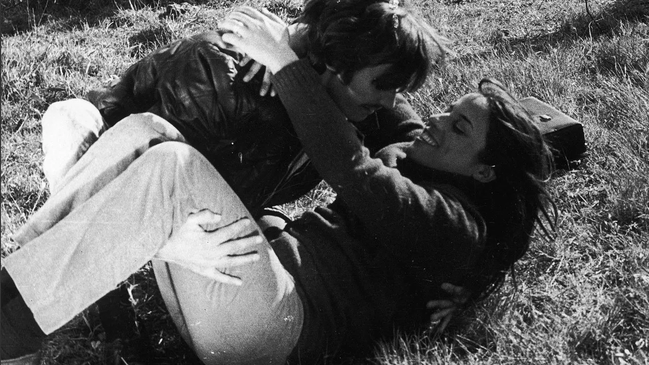 Nojo aos Cães backdrop