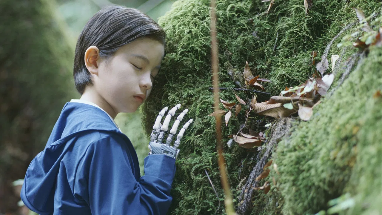 Sheep in the Box backdrop