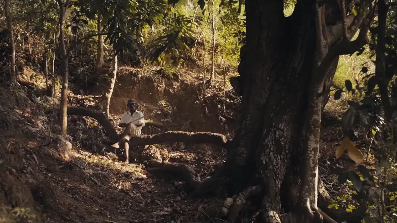 Papa Machete backdrop