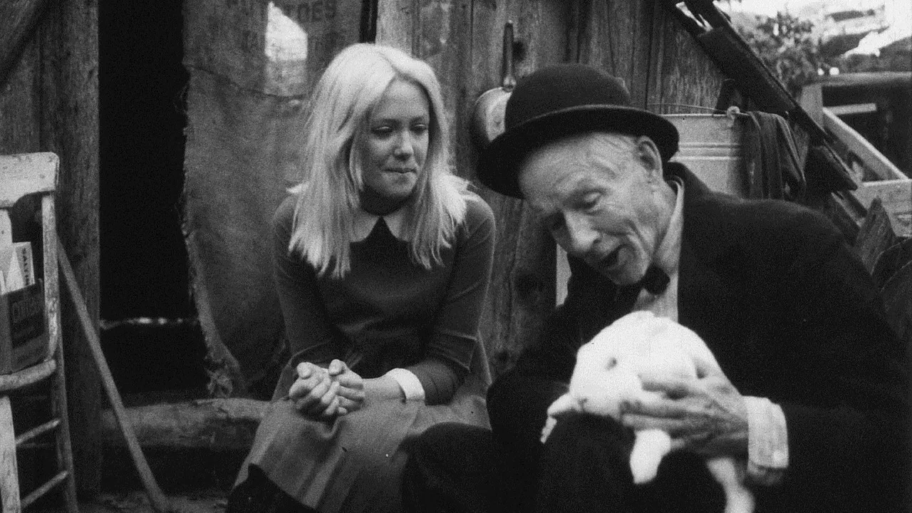 The Plastic Dome of Norma Jean backdrop