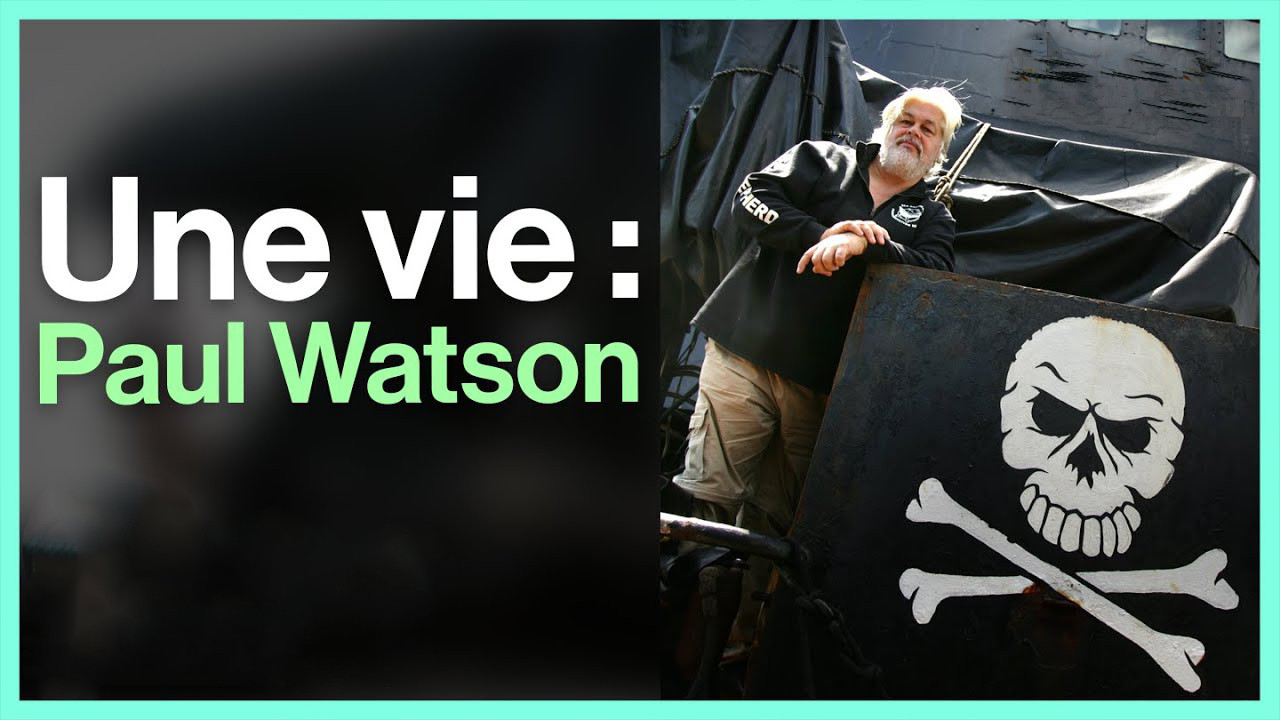 Paul Watson : comment devenir un pirate écolo backdrop