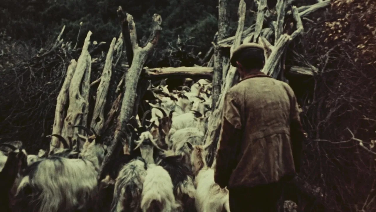 Orgosolo’s Shepherds backdrop