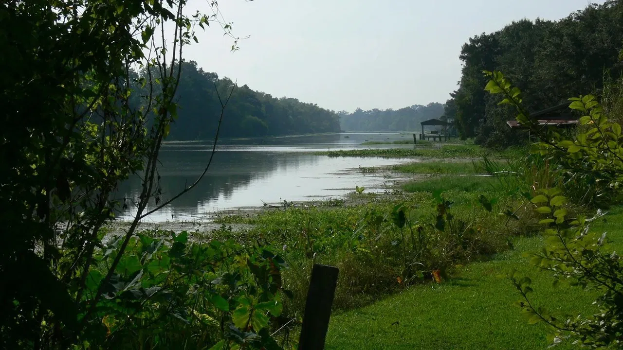 Rivers and Life backdrop