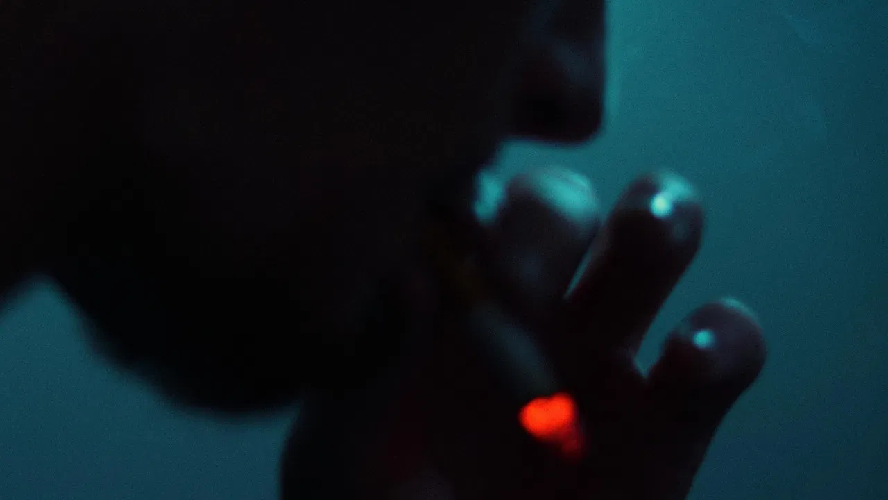 Pink Ladies backdrop