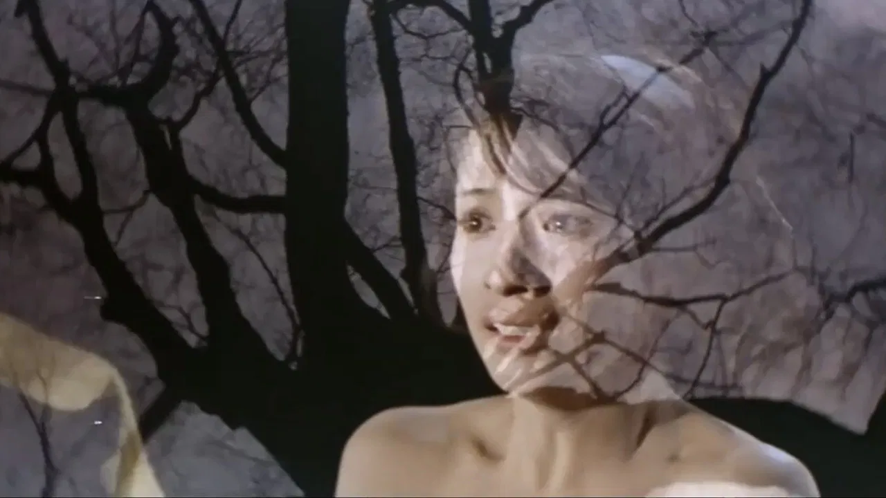 Night Butterflies backdrop