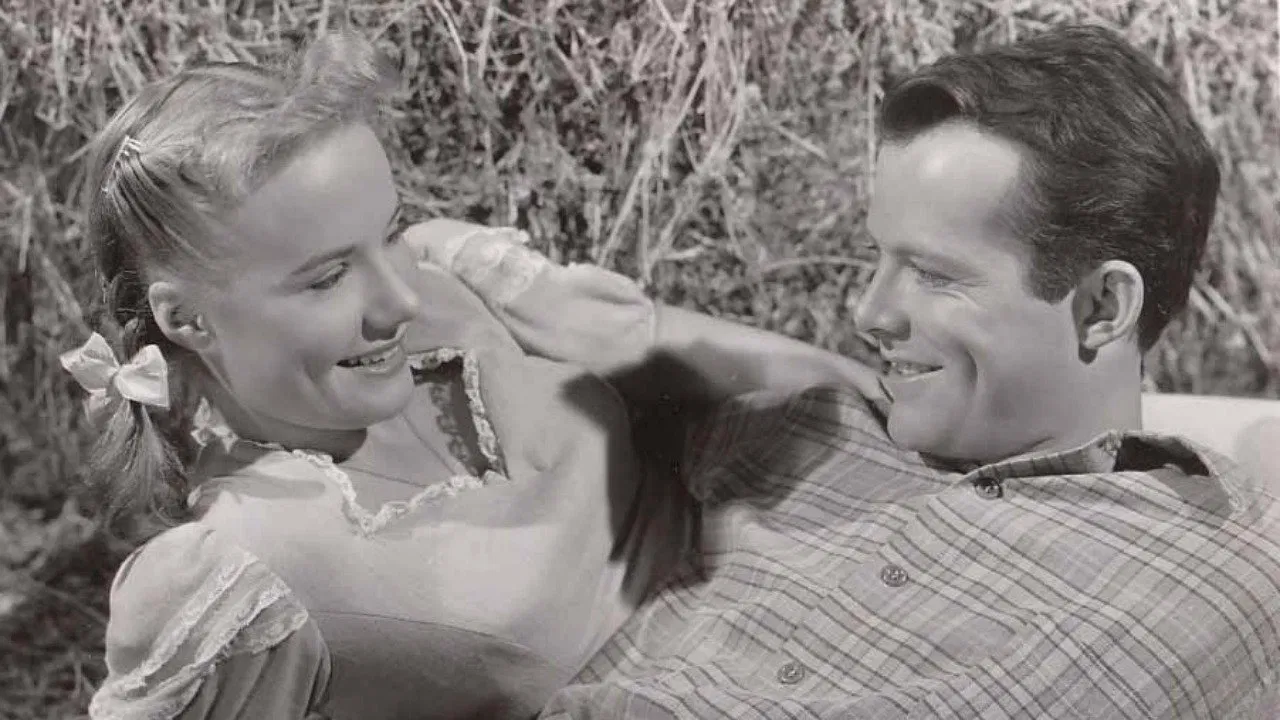 The Big Cat backdrop