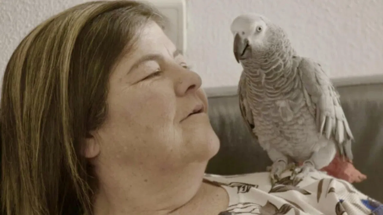 The Prostitution Monologues backdrop