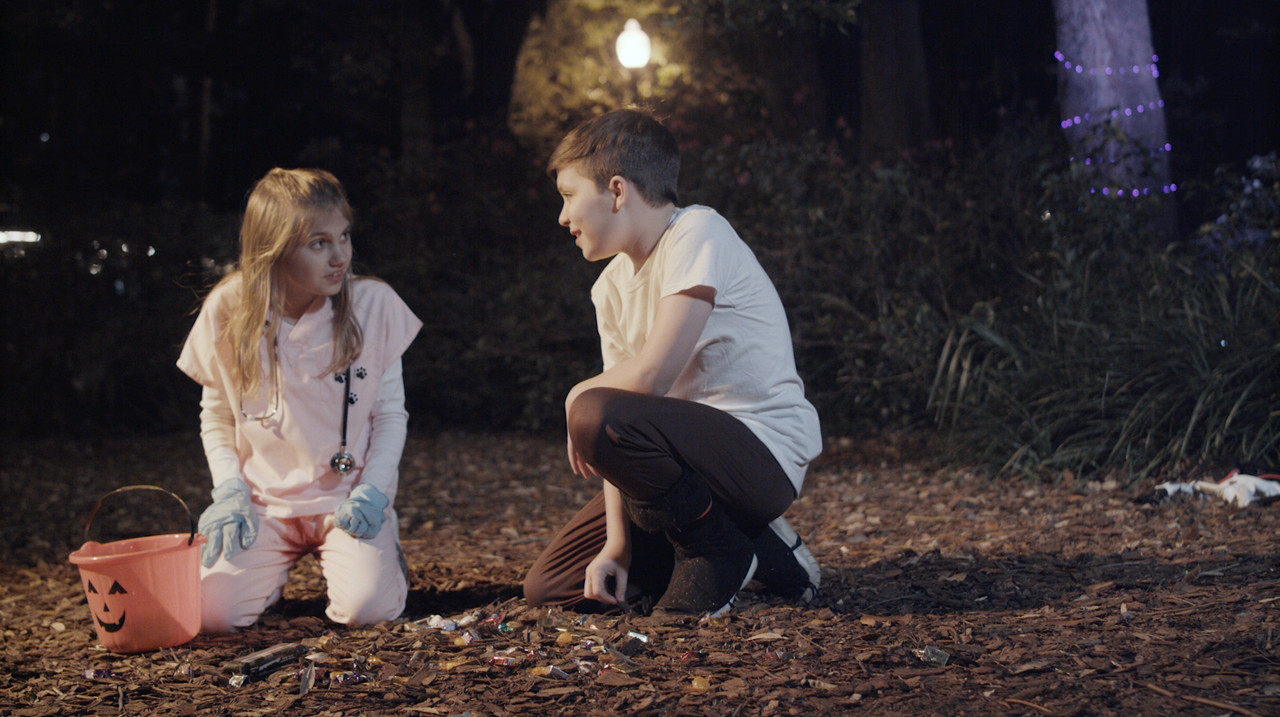 Trick or Treat backdrop