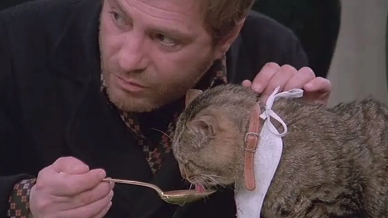 Eye of the Cat backdrop