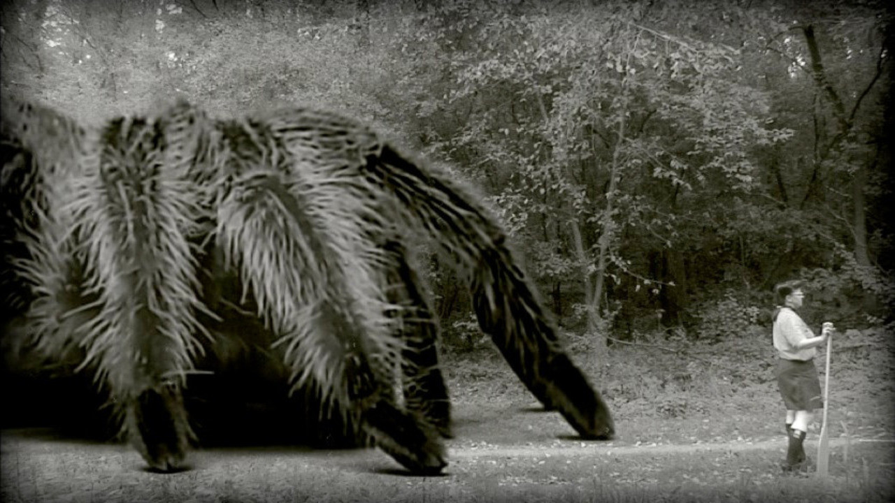 The Giant Spider backdrop