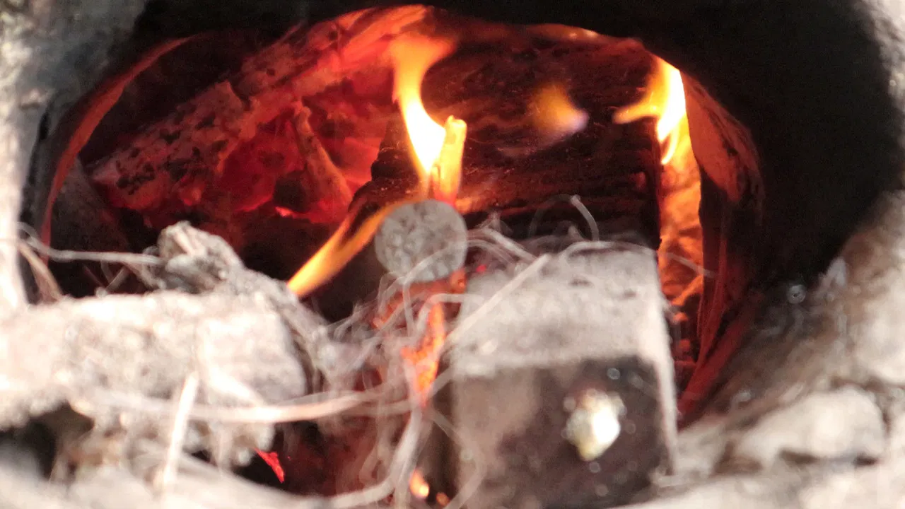 My Mother Can Sing But She Doesn't backdrop