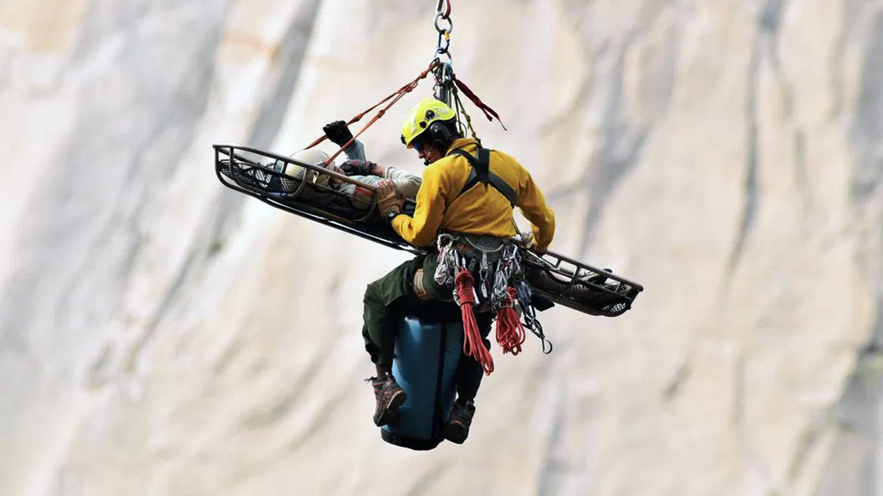 An Accidental Life backdrop