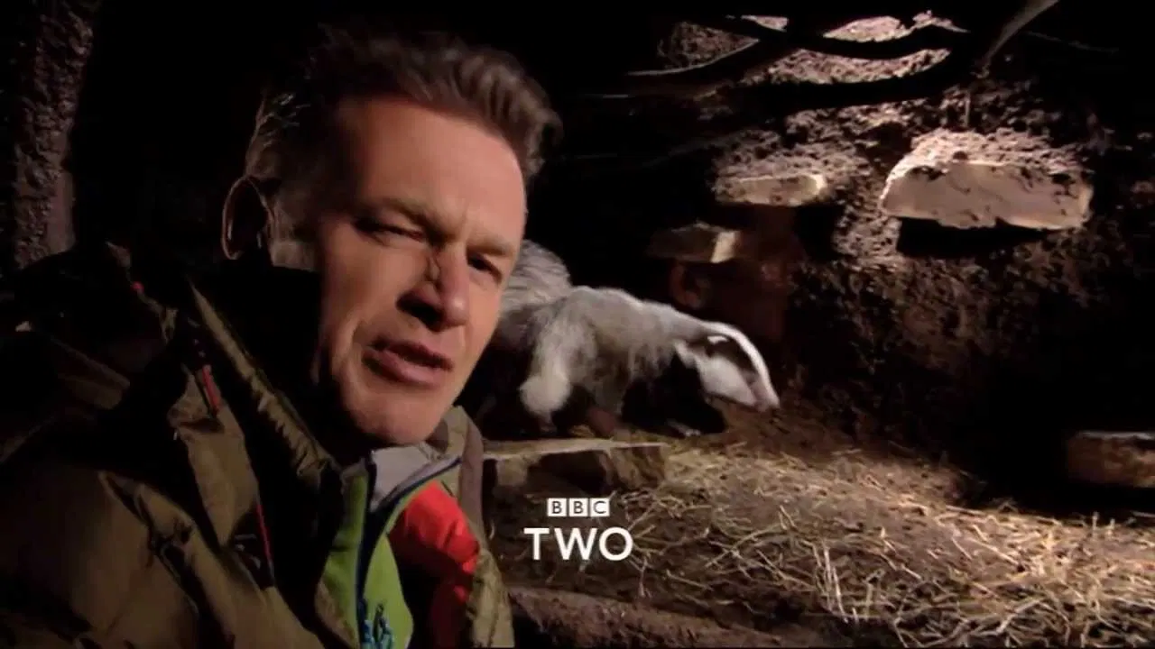 The Burrowers backdrop