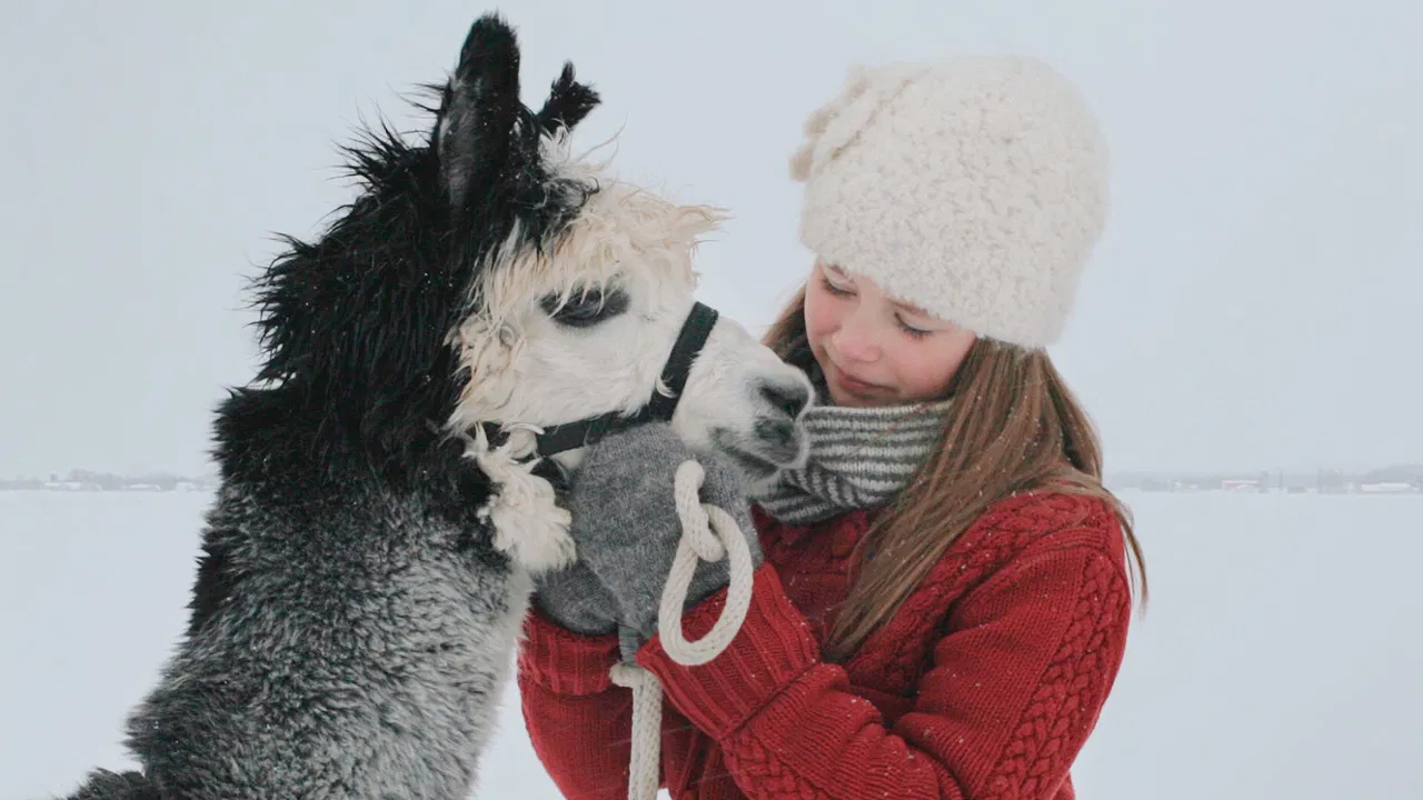 A Shade of Grey backdrop