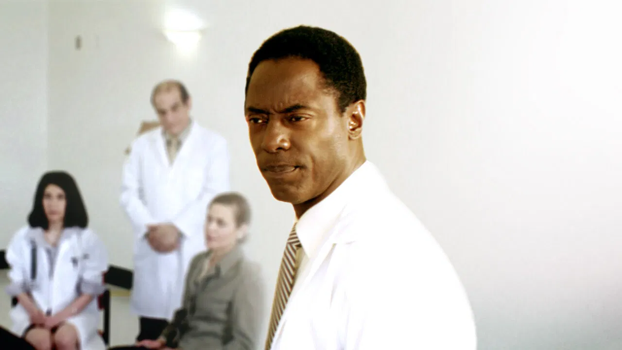 Doctor Bello backdrop