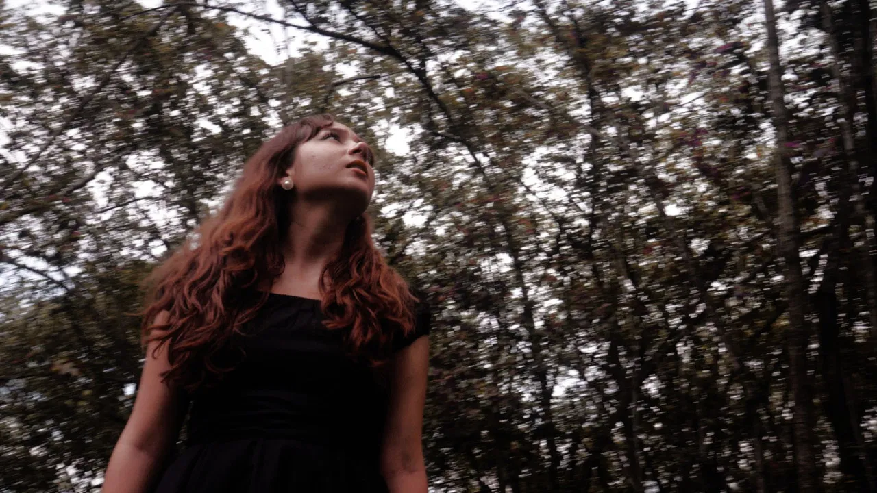 LOST MEDIA #43 backdrop