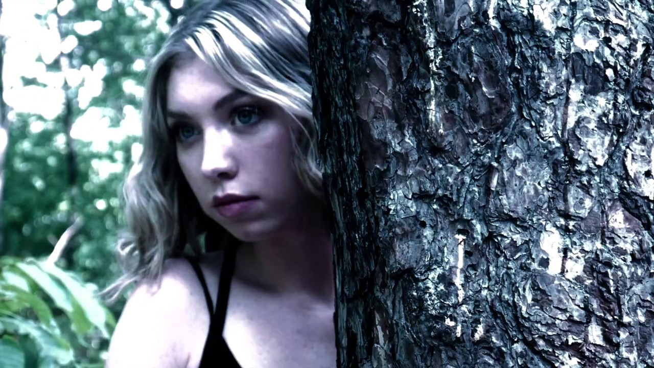 North Woods backdrop