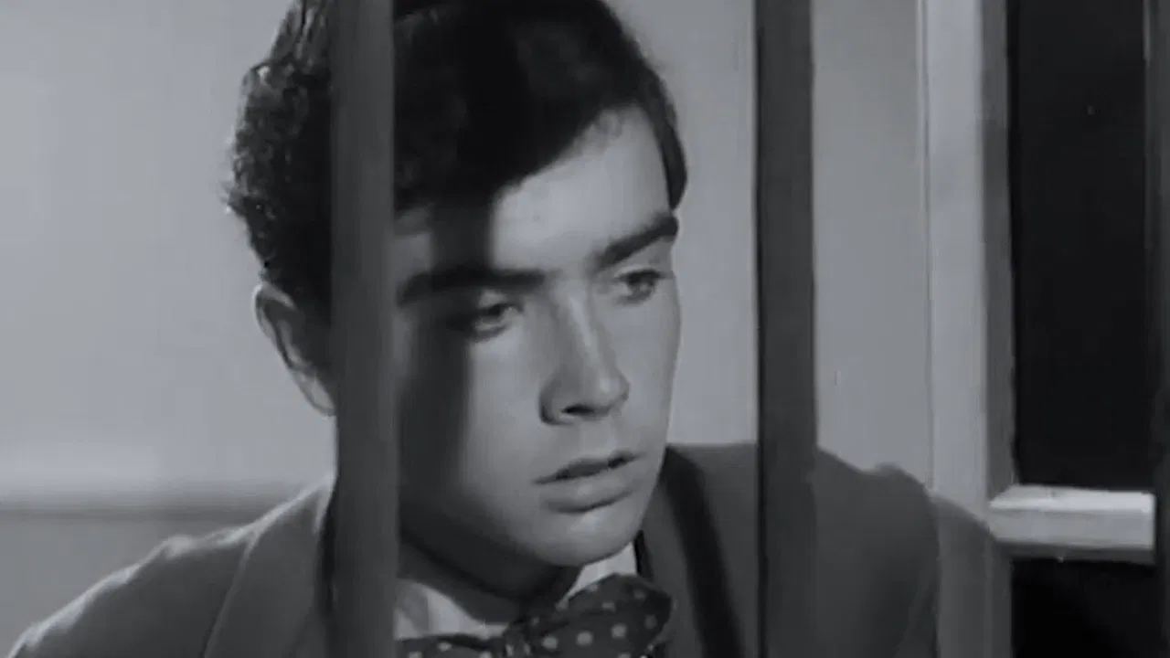 Il cocco di mamma backdrop