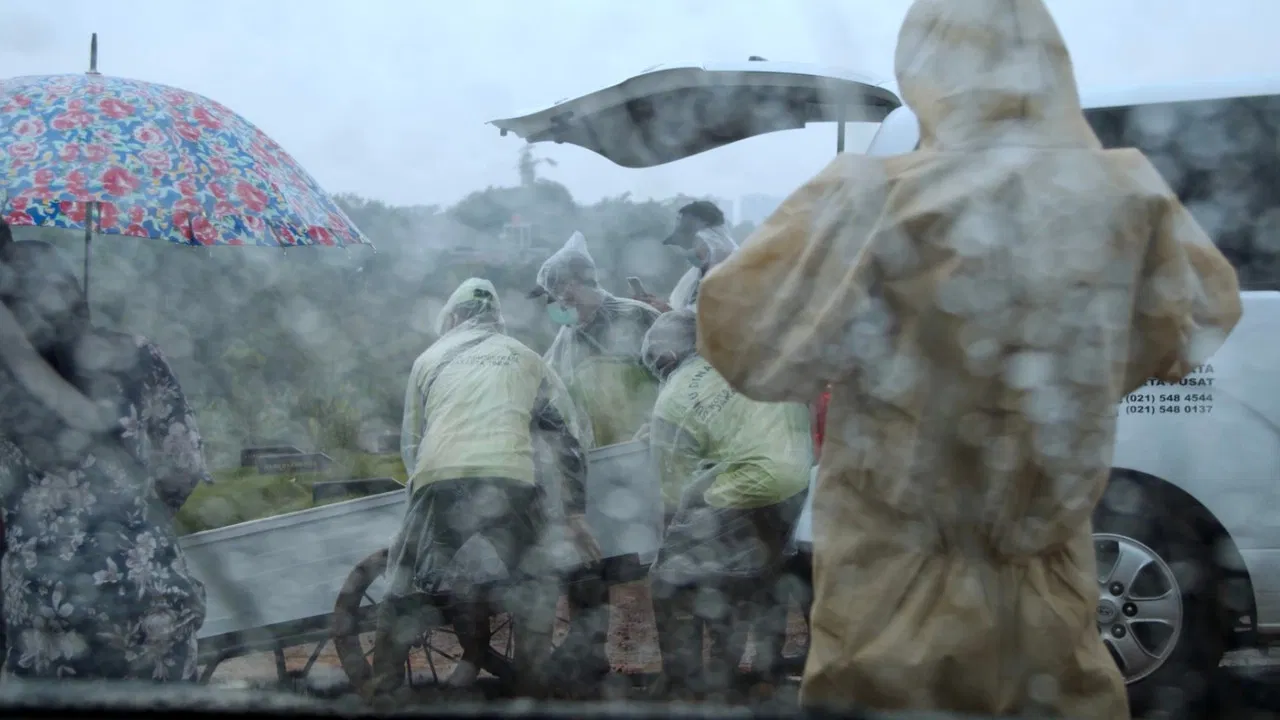 Agave Amica backdrop