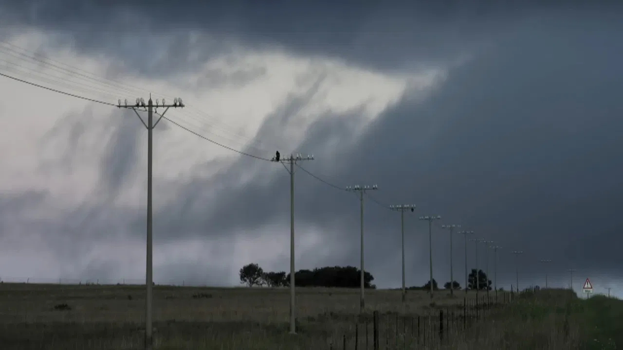 The Apartheid Killer backdrop
