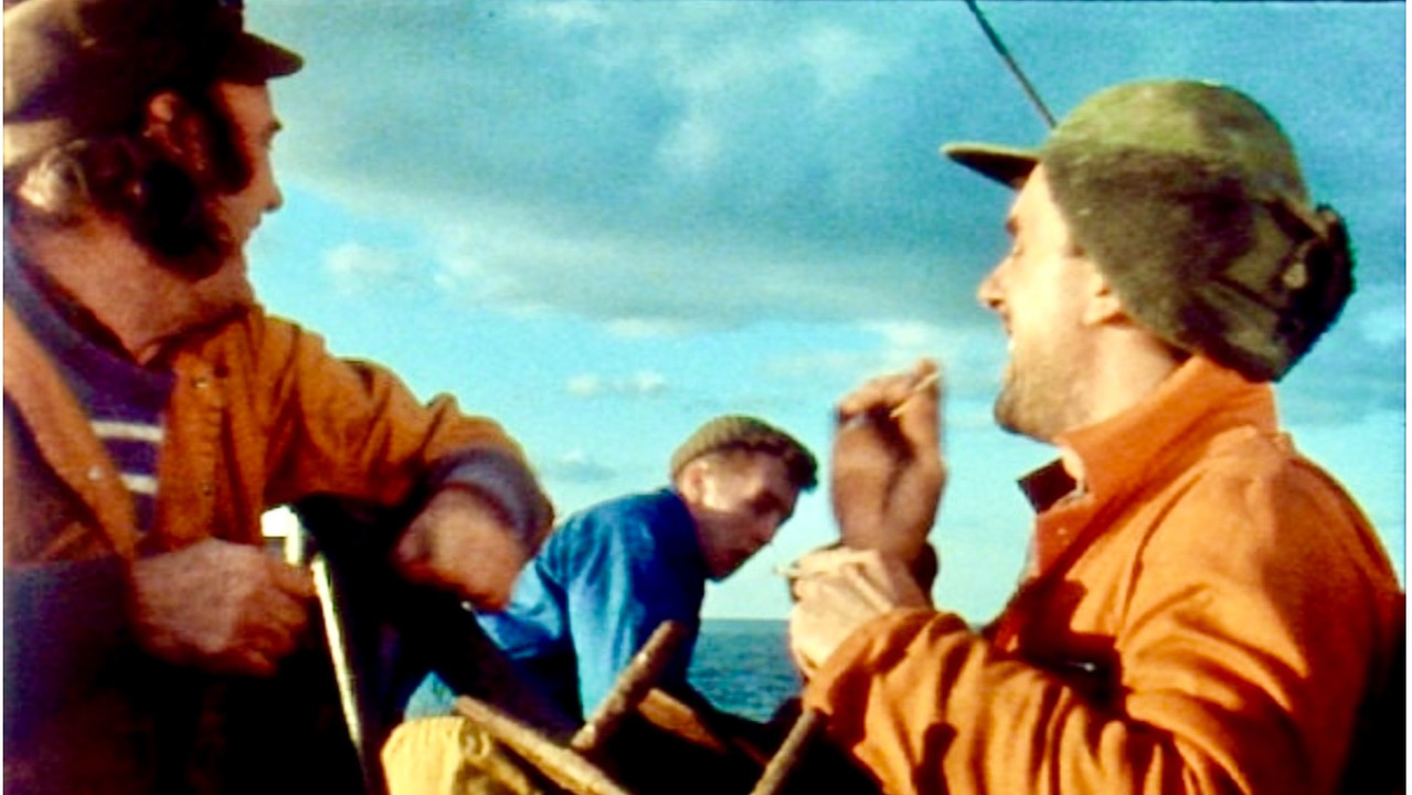 In Fading Light backdrop