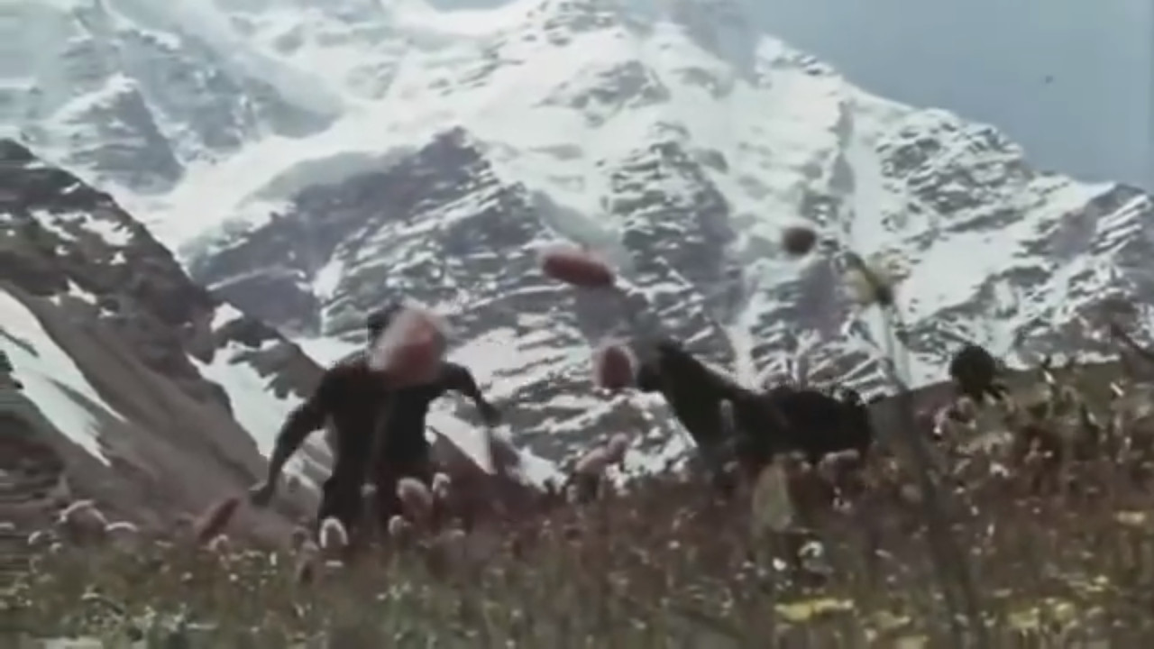 Clouds are Our Umbrellas backdrop