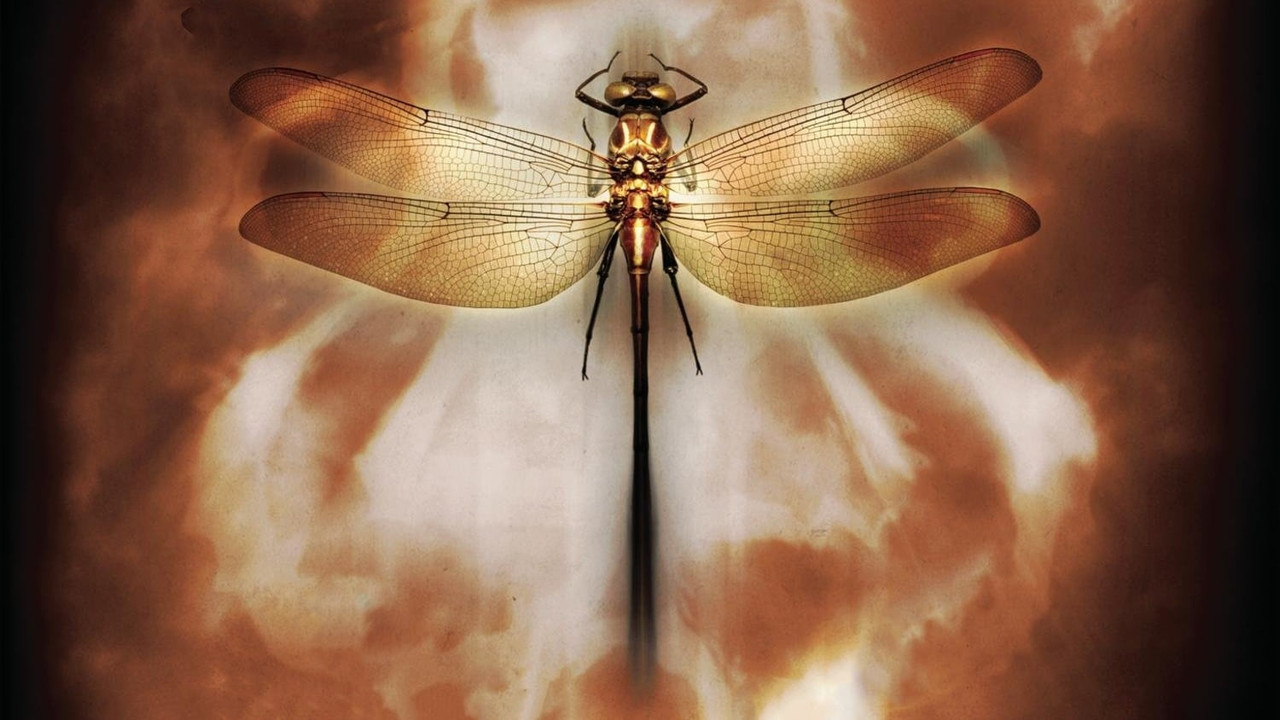 The Fiction Will See the Real: Documentary backdrop