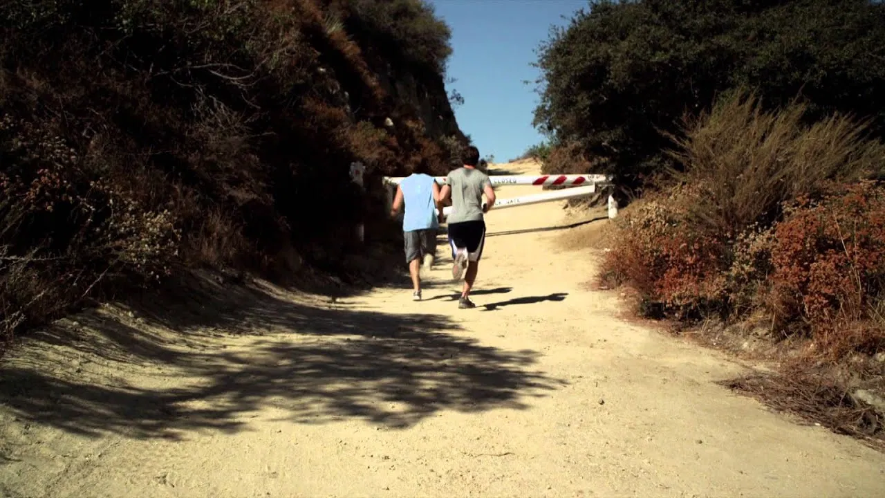 Dark Desire backdrop